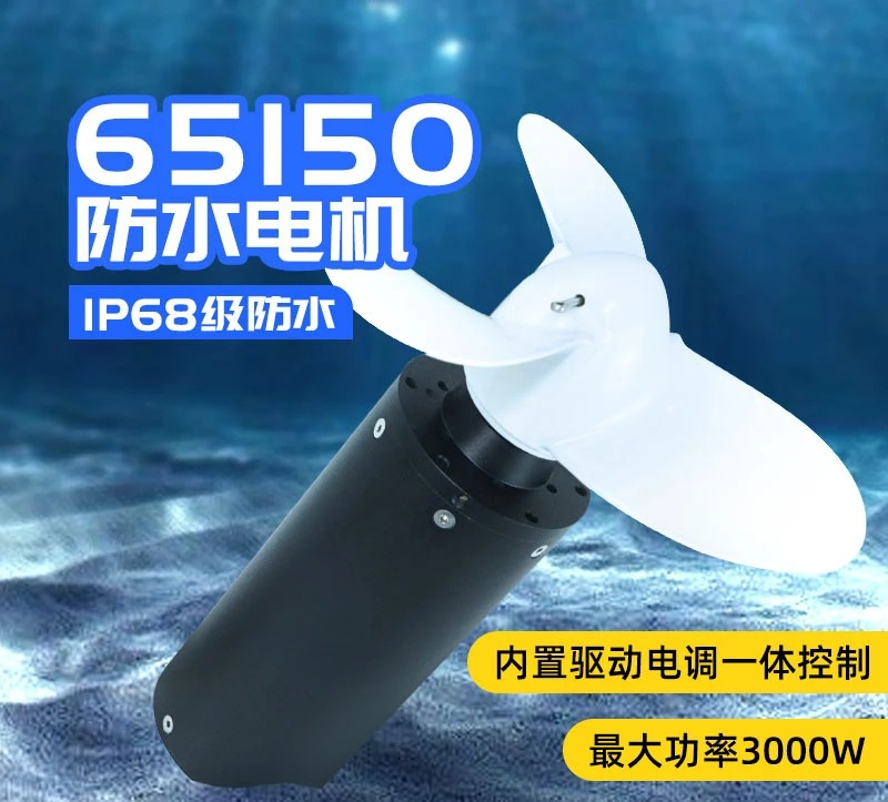 65150 محرك مدمج مقاوم للماء لل - مراجعة Electric Surfboard 3000W وسعره